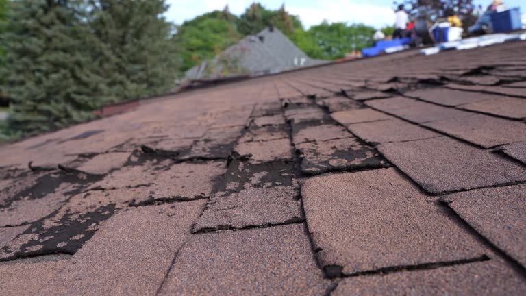 Best Steel Roofing  in Cochran, GA