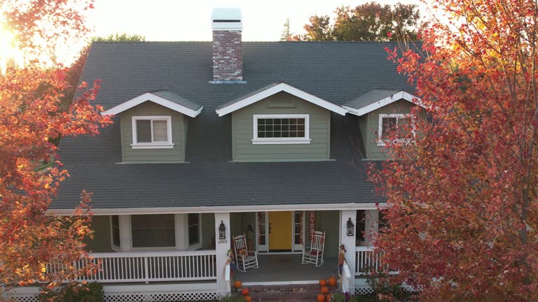 Best Skylight Installation and Repair  in Cochran, GA