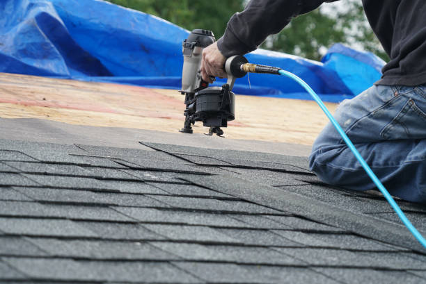 Best Roof Moss and Algae Removal  in Cochran, GA