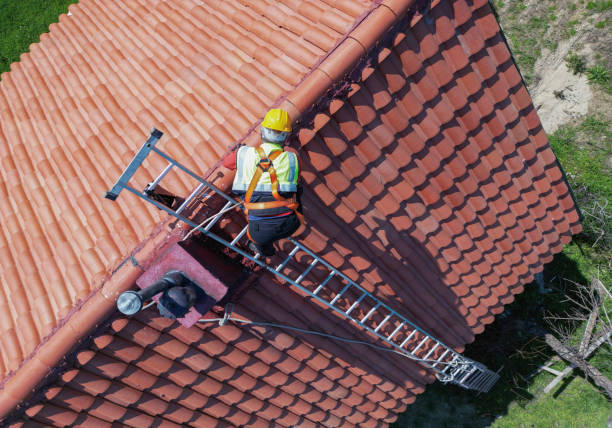 Best Roof Ventilation Installation  in Cochran, GA